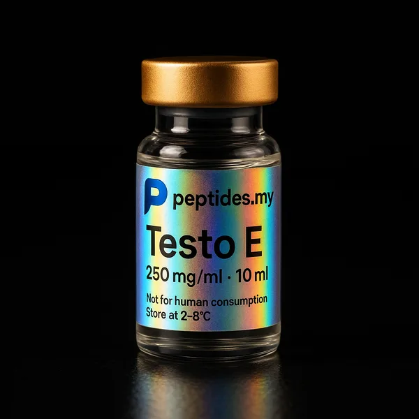 Testo E